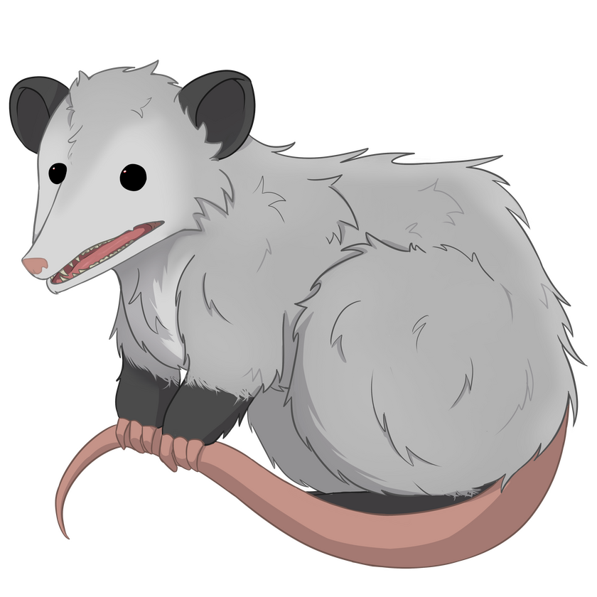 OPOSSUM PNGTUBER: - $30